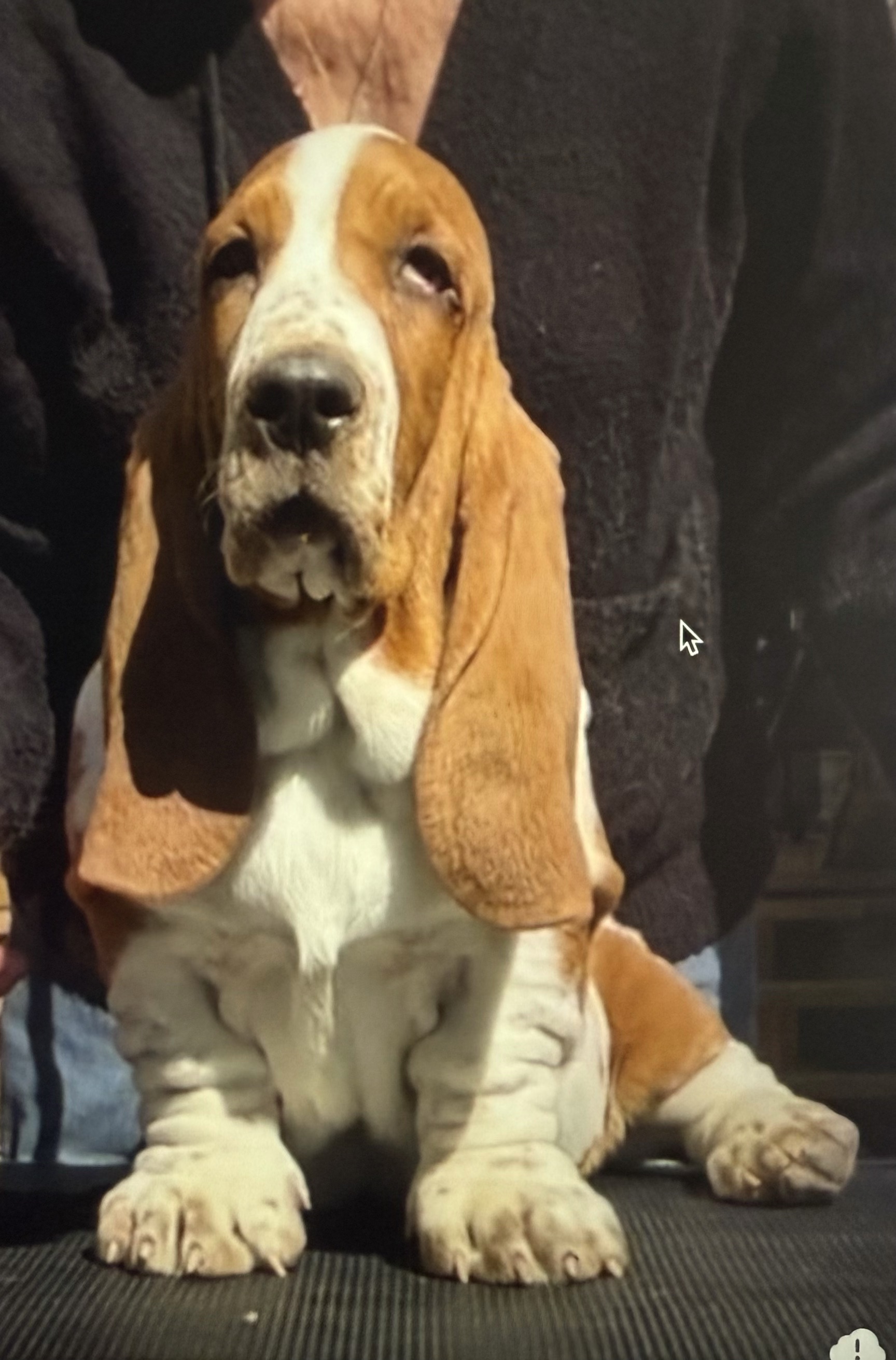 charlie8.jpg